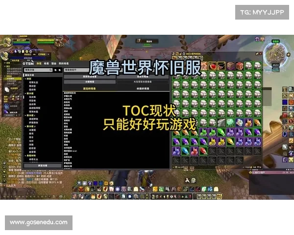 魔兽世界怀旧服：重塑职业等级，重启冒险之旅